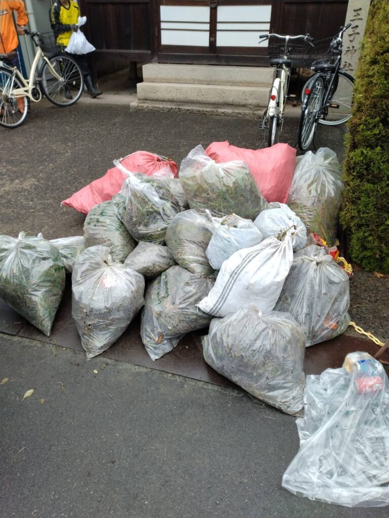 秋の一斉清掃1