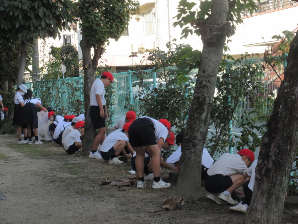 学区民運動会前草取り2