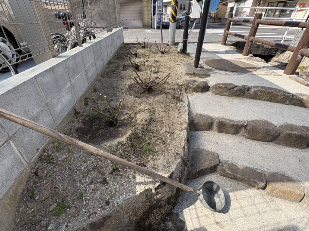 ばら花壇（道三川・ボランティアの会）1