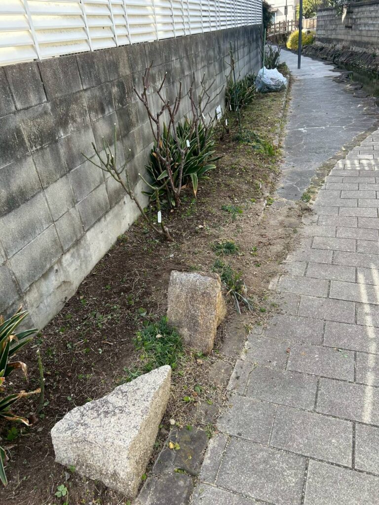 ばら花壇（道三川・ボランティアの会）3