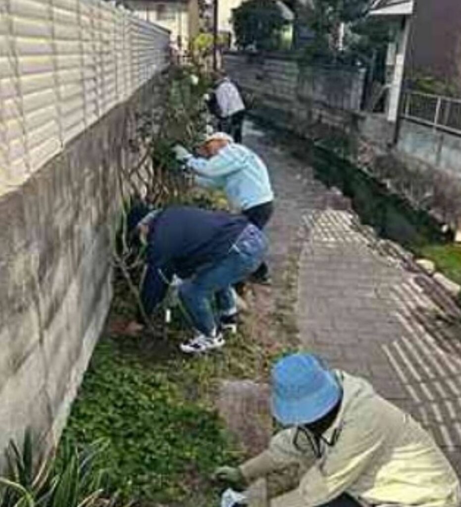 ばら花壇（道三川・ボランティアの会）4