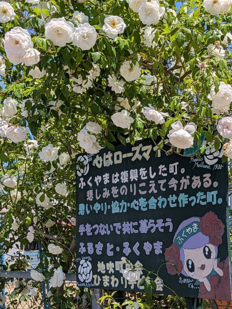 ばら花壇1