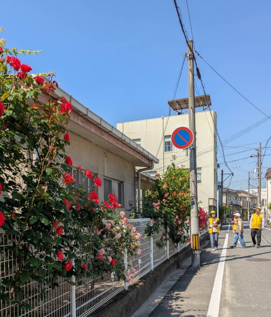 第58回ばら花壇コンクール審査7