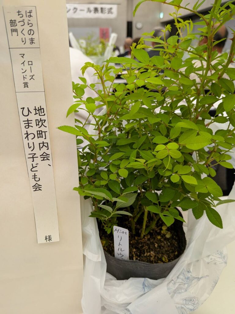 第58回ばら花壇コンクール表彰式8